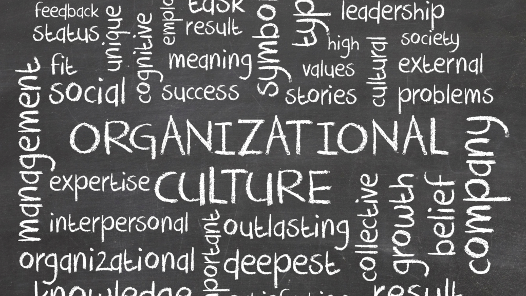 cultura organizacional